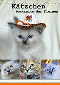 Kätzchen - Portraits der Kleinen (Tischkalender 2023 DIN A5 hoch)