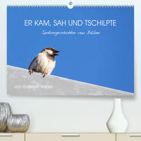 Er kam, sah und tschilpte - Spatzengeschichten vom Balkon (Premium, hochwertiger DIN A2 Wandkalender 2023, Kunstdruck in Hochglanz)
