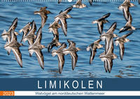 Limikolen - Watvögel am norddeutschen Wattenmeer (Wandkalender 2023 DIN A2 quer)