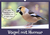 Vögel mit Humor (Wandkalender 2023 DIN A3 quer)