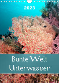Bunte Welt Unterwasser (Wandkalender 2023 DIN A4 hoch)