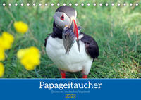 Papageitaucher - Clowns der nordischen Vogelwelt (Tischkalender 2023 DIN A5 quer)