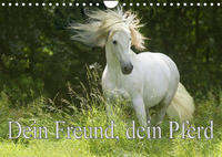 Dein Freund, dein Pferd (Wandkalender 2023 DIN A4 quer)