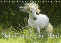 Dein Freund, dein Pferd (Tischkalender 2023 DIN A5 quer)
