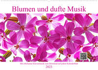 Blumen und dufte Musik (Wandkalender 2023 DIN A2 quer)