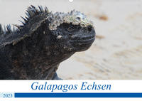 Galapagos Echsen (Wandkalender 2023 DIN A2 quer)