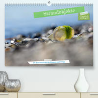 Strandobjekte (Premium, hochwertiger DIN A2 Wandkalender 2023, Kunstdruck in Hochglanz)