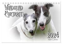 Windhund Portrait 2024 White Edition (Tischkalender 2024 DIN A5 quer), CALVENDO Monatskalender