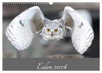 Eulen 2024 (Wandkalender 2024 DIN A3 quer), CALVENDO Monatskalender