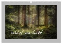 Wald im Licht (Wandkalender 2024 DIN A3 quer), CALVENDO Monatskalender