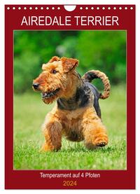 Airedale Terrier - Temperament auf 4 Pfoten (Wandkalender 2024 DIN A4 hoch), CALVENDO Monatskalender