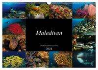 Malediven - Die bunte Unterwasserwelt (Wandkalender 2024 DIN A3 quer), CALVENDO Monatskalender