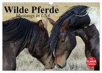 Wilde Pferde. Mustangs in USA (Wandkalender 2024 DIN A3 quer), CALVENDO Monatskalender