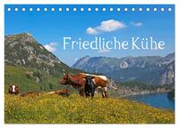 Friedliche Kühe (Tischkalender 2024 DIN A5 quer), CALVENDO Monatskalender