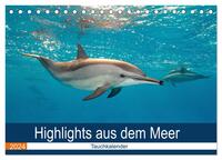 Highlights aus dem Meer - Tauchkalender (Tischkalender 2024 DIN A5 quer), CALVENDO Monatskalender