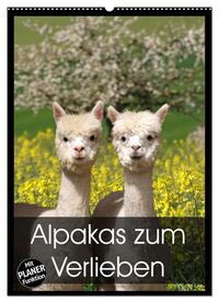 Alpakas zum Verlieben (Wandkalender 2024 DIN A2 hoch), CALVENDO Monatskalender