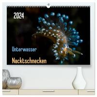 Pilotwale Unterwasser - Globicephala macrorhynchus (Wandkalender 2024 DIN  A2 quer), CALVENDO Monatskalender - Weber-Gebert, Claudia 