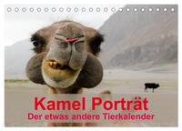 Kamel Porträt (Tischkalender 2024 DIN A5 quer), CALVENDO Monatskalender