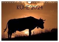 Kühe 2024 (Wandkalender 2024 DIN A4 quer), CALVENDO Monatskalender