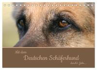 Mit dem Deutschen Schäferhund durch's Jahr (Tischkalender 2024 DIN A5 quer), CALVENDO Monatskalender