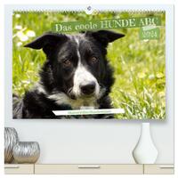 Das coole Hunde ABC (hochwertiger Premium Wandkalender 2024 DIN A2 quer), Kunstdruck in Hochglanz