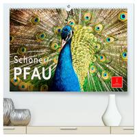 Schöner Pfau (hochwertiger Premium Wandkalender 2024 DIN A2 quer), Kunstdruck in Hochglanz