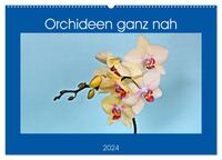 Orchideen ganz nah (Wandkalender 2024 DIN A2 quer), CALVENDO Monatskalender
