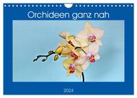 Orchideen ganz nah (Wandkalender 2024 DIN A4 quer), CALVENDO Monatskalender