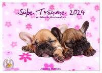Süße Träume 2024 - schlafende Hundewelpen (Wandkalender 2024 DIN A2 quer), CALVENDO Monatskalender