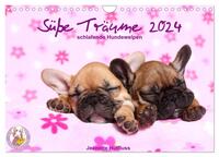 Süße Träume 2024 - schlafende Hundewelpen (Wandkalender 2024 DIN A4 quer), CALVENDO Monatskalender