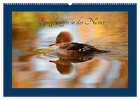 Spiegelungen in der Natur (Wandkalender 2024 DIN A2 quer), CALVENDO Monatskalender