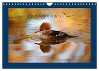 Spiegelungen in der Natur (Wandkalender 2024 DIN A4 quer), CALVENDO Monatskalender