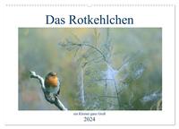 Das Rotkehlchen, ein Kleiner ganz Groß (Wandkalender 2024 DIN A2 quer), CALVENDO Monatskalender