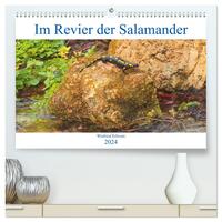 Im Revier der Salamander (hochwertiger Premium Wandkalender 2024 DIN A2 quer), Kunstdruck in Hochglanz