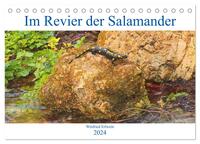 Im Revier der Salamander (Tischkalender 2024 DIN A5 quer), CALVENDO Monatskalender
