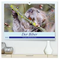 Der Biber, ein guter Bauhandwerker (hochwertiger Premium Wandkalender 2024 DIN A2 quer), Kunstdruck in Hochglanz