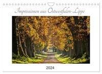 Impressionen aus Ostwestfalen-Lippe (Wandkalender 2024 DIN A4 quer), CALVENDO Monatskalender