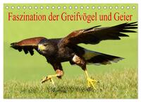 Faszination der Greifvögel und Geier (Tischkalender 2024 DIN A5 quer), CALVENDO Monatskalender