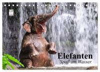 Elefanten. Spaß am Wasser (Tischkalender 2024 DIN A5 quer), CALVENDO Monatskalender