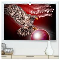 Faszinierende Greifvögel hautnah (hochwertiger Premium Wandkalender 2024 DIN A2 quer), Kunstdruck in Hochglanz