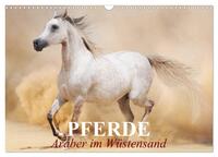Pferde • Araber im Wüstensand (Wandkalender 2024 DIN A3 quer), CALVENDO Monatskalender