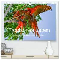 Tropisches Leben Ein Paradies des Lebens und der Farben (hochwertiger Premium Wandkalender 2024 DIN A2 quer), Kunstdruck in Hochglanz