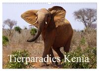 Tierparadies Kenia (Wandkalender 2024 DIN A3 quer), CALVENDO Monatskalender