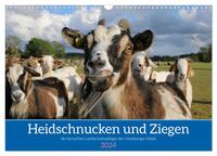 Heidschnucken und Ziegen die tierischen Landschaftspfleger der Lüneburger Heide (Wandkalender 2024 DIN A3 quer), CALVENDO Monatskalender