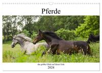 Pferde, das größte Glück auf dieser Erde (Wandkalender 2024 DIN A3 quer), CALVENDO Monatskalender