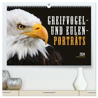 GREIFVOGEL- UND EULENPORTRÄTS (hochwertiger Premium Wandkalender 2024 DIN A2 quer), Kunstdruck in Hochglanz