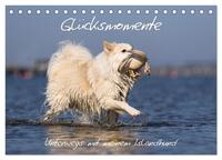 Glücksmomente - Unterwegs mit meinem Islandhund (Tischkalender 2024 DIN A5 quer), CALVENDO Monatskalender