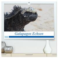 Galapagos Echsen (hochwertiger Premium Wandkalender 2024 DIN A2 quer), Kunstdruck in Hochglanz