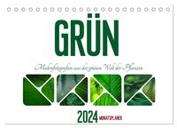 Grün Makrofotografien aus der grünen Welt der Pflanzen als Monatsplaner (Tischkalender 2024 DIN A5 quer), CALVENDO Monatskalender