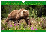 Der mächtige Gizzlybär (Wandkalender 2024 DIN A4 quer), CALVENDO Monatskalender